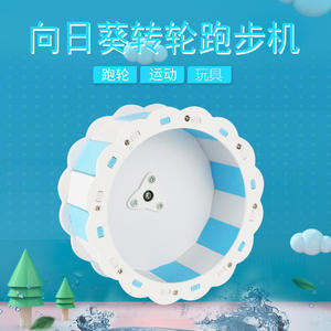 Roue de course de Chinchillas en soie dorée pour hamster, tapis roulant, tapis roulant, de 13 à 22cm - Product Image 2