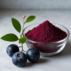 Cómo venta a granel <span class=keywords><strong>Maqui</strong></span> Berry 100% polvo de Jugo puro orgánico <span class=keywords><strong>Maqui</strong></span> Berry extracto en polvo - Product Image 5