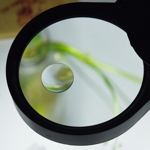 New bàn đèn magn10x hd3magnifierens đèn OEM với ánh sáng dự án loại M kính lúp kính lúp LED kính lúp 38 LED 1.2m 850 gam - Product Image 5