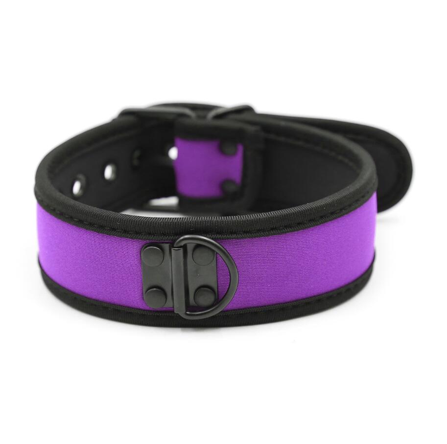 Viola