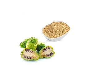 Poudre d'extrait pur de fruit de Noni (Morinda Citrifolia) pour l'alimentation et les boissons – Formulation végétale et ingrédients naturels - Product Image 2