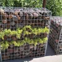 Venta de fábrica, malla de alambre soldada con revestimiento de PVC galvanizado, Agujero cuadrado, pared de piedra de gavión, acero, malla Hexagonal soldada, caja de gavión soldada