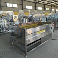 Automatische wortelborstelwasser-schilmachine voor voedselverwerkingsbedrijven, keukens, gember, cassave en zoete aardappel.