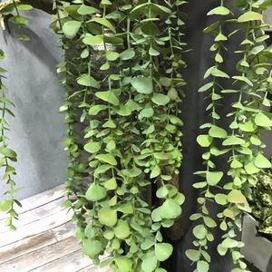 Guirnalda de <span class=keywords><strong>Eucalipto</strong></span> <span class=keywords><strong>Artificial</strong></span>, Planta <span class=keywords><strong>Artificial</strong></span> Colgante para Decoración de Bodas y Hogar - Product Image 5