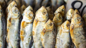 حالة جديدة معدات تجفيف الأسماك التدفئة الكهربائية SUS316L فرن التجفيف بما في ذلك العتاد المحرك مباشرة تجهيز الأغذية في الصين - Product Image 2