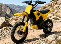 Motos électriques tout-terrain M5 pas chères pour adultes, vente en gros, 1200W, moteur central, moto électrique populaire 50km/h pour l'Amérique du Sud