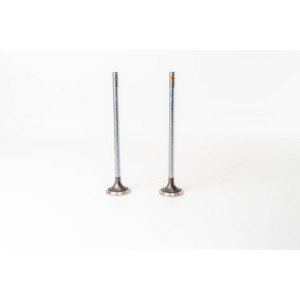 Valvola di scarico adatta per motori IVECO 5801551454 - Product Image 1