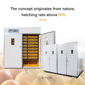 Incubateur <span class=keywords><strong>d</strong></span>'œufs automatique pour 10 000 œufs, machine <span class=keywords><strong>d</strong></span>'éclosion pour l'équipement <span class=keywords><strong>d</strong></span>'élevage avicole, prix <span class=keywords><strong>d</strong></span>'usine - Product Image 4