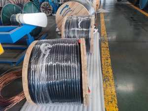 Ovrehead สายเคเบิลแอนซี่/ICEA S-76-474อลูมิเนียมมาตรฐาน, สายเคเบิล Class 2 0.6/1kV ดูเพล็กซ์/สามเท่า/สี่เท่า - Product Image 4