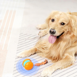 Juguetes para Perros, Pelota Interactiva con Sonido, Recargable y Activada por Tacto, con Cuerda para Perros Pequeños y Medianos - Product Image 2