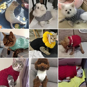 Produits pour animaux de compagnie, chandail en tricot chaud pour <span class=keywords><strong>chiot</strong></span>, <span class=keywords><strong>chien</strong></span>, chat, veste en tricot pour petit <span class=keywords><strong>chien</strong></span>, pull pour <span class=keywords><strong>chien</strong></span>, vêtements pour animaux de compagnie - Product Image 2