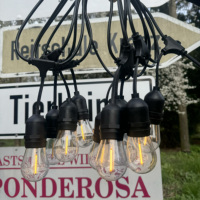 Modèle suspendu S14 LED Ampoules Festoon lumières Vintage Edison Ampoules Cour Garden Party Lumières Guirlande Lumineuse Décorations De Vacances