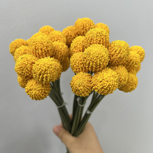Bouquet décoratif réaliste de fruits dorés - Décoration de remise de diplôme, maison, bureau - Fleurs artificielles longues en plastique au design moderne - Plante artificielle - Product Image 2