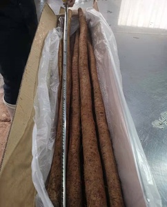 Cây ngưu bàng Trung Quốc cây ngưu bàng tươi - Product Image 5