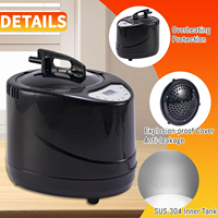 Machine à vapeur portable 3L à chauffage rapide pour sauna domestique, réglable en temps et en température, pour sauna à vapeur, thérapie de la tête, SPA, bain de vapeur