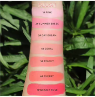 Bâton de fard à joues personnalisé de haute qualité palette de fard à joues crémeux surligneur fond de teint crème de maquillage bâton de fard à joues