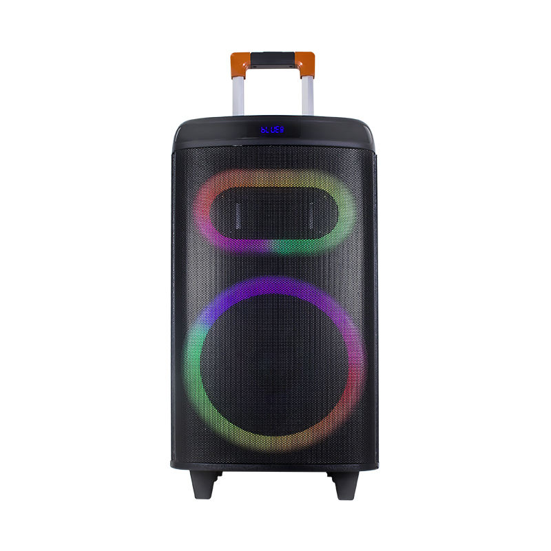 New Arrival Temeisheng Portable Speaker with 12V/7500mAh Rechargeable  Battery 12 Inch Trolley Speaker with Fashionable Light