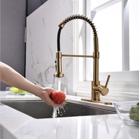 Robinet de cuisine contemporain Laiton Argent Or Flexible Pull Out Spring Robinet de cuisine Pull Down Pulvérisateur Robinets d'évier de cuisine