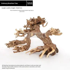 Bois flotté d'aquarium brésilien, mousse, fait à la main, naturel, fin, aménagement paysager d'aquarium, bonsaï avec système de racines de pin - Product Image 2