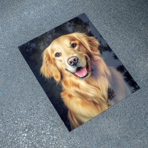 Lastre in Alluminio per Sublimazione 4''x6'' 1,15mm Bianco Lucido Stampe su Metallo HD Alta Definizione - Product Image 3