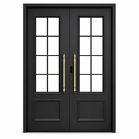 Porte d'entrée antivol en acier noir mat, double battant, avec grilles en verre transparent et poignées en laiton, style Urbain Chic, pour centre commercial et résidence architecturale