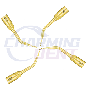 <span class=keywords><strong>Dental</strong></span>-Piezo-Chirurgie-Spitzen UL1: Goldene Knochenschneide-Spitzen für Piezosurgery-Einheiten mit manueller Stromquelle - Product Image 6