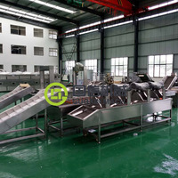 Continue productielijn voor het frituren van fruitchips, bananenplakjes frituurmachine, productielijn voor het frituren van bananenchips