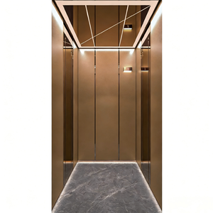 Ascenseurs domestiques modernes personnalisés sans engrenages en acier inoxydable PVC, diverses couleurs et styles, <span class=keywords><strong>pour</strong></span> villa, petite capacité 2-3 personnes, 400 kg, monte-escalier HJ - Product Image 6