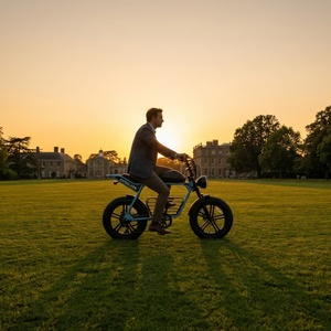 Vélo électrique haut de gamme avec écran LCD et alimentation 48V, idéal pour les visites de propriétés - Product Image 4