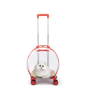 Dmvalise de rangement de luxe, nouvelle valise à roulettes pour animaux domestiques, boîte en acrylique renforcée, durable, haute densité, portable, pour chat, 2020