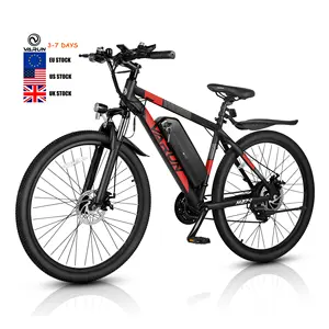 성인용 Ebike 500W 750W 전기 산악 자전거 48V 13AH 장거리 멀티 모드 LCD 디스플레이 도시 영국 주식 최고의 전기 자전거