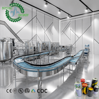 Ligne d'embouteillage à haut rendement 12000 canettes/heure, incluant un dépalletiseur de canettes vides et un filtre à CO2, pour la manipulation de canettes en aluminium de 0 à 500 ml
