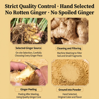 Poudre de gingembre jaune naturel séché de qualité alimentaire, gingembre moulu en vrac, vente en gros