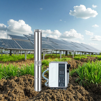 Pompe Solaire Submersible sans Balais AC/DC 2 Pouces pour Puits Profond, en Acier Inoxydable, à Gros Débit, pour Irrigation