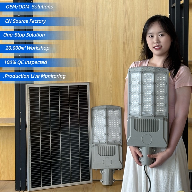 Durable Solar Street Light - ZY Die-Cast Aluminum 25% Faster Charging LED for Highways & Roads