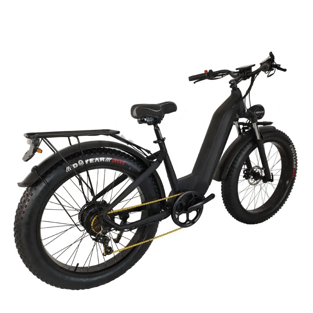 China Fabrikant Oem Custom 26 Inch Elektrische Fiets Stap Door Stad Elektrische Racefietsen Mountainbike Volledige Vering 26 Ebike