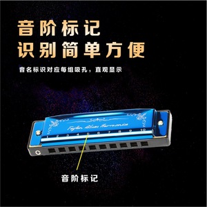 ฮาร์โมนิก้า Feifan 10 รู คีย์ C ฐานทองเหลือง สำหรับผู้เริ่มต้นและนักเรียน - Product Image 5