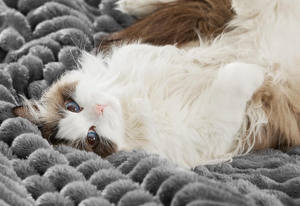 Couverture Chauffante Électrique de Luxe 2026, Double Couche en Fausse Fourrure de Lapin, Plus Confortable et Lavable, Couvertures Matelassées pour l'Hiver - Product Image 2