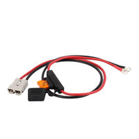 6AWG Suhu Tinggi 200 ° Kabel Sambungan Baterai C dengan Tempat Sekring Inline dan Konektor Cepat 2-Pin untuk ESS