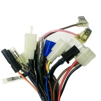 Aksesoris Motor Brave XFY0118 Tianjian 125 Tianqi YBR125 JYM Euro 1 Euro 2 Kabel Utama Seluruh Rangkaian Kendaraan Setara Tin