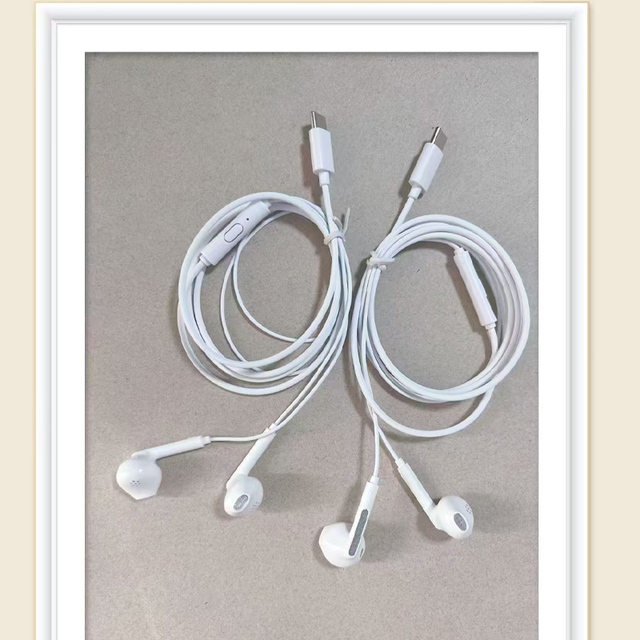 In-Ear Wired Earphones & Headphones Sports 3.5mm Plug-In Type Music Monitoring with Type-C