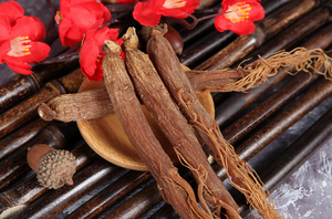 Toptan sertifikalı <span class=keywords><strong>6</strong></span> yaşında kırmızı <span class=keywords><strong>Ginseng</strong></span> kökü en iyi fiyat bitki özü aktif madde saponinleri ile - Product Image 6