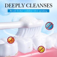 Poudre blanchissante pour les dents au menthol et aux probiotiques, personnalisée par OEM, pour nettoyer les dents, éliminer les taches, rafraîchir l'haleine, soins dentaires probiotiques, poudre dentaire