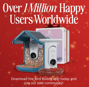 Mangeoires <span class=keywords><strong>à</strong></span> oiseaux pour l'extérieur avec caméra d'observation des oiseaux 2K, <span class=keywords><strong>prix</strong></span> fabricant, cadeaux idéaux pour Noël, cadeaux pour l'éléphant blanc - Product Image 6