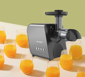 LUFVEBUT OEM ODM Máquina Exprimidora Comercial, Mejor Exprimidor Lento Portátil con el Precio Más Bajo - Product Image 1