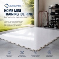 Panneaux de glace artificielle UHMWPE, plaques de patinoire synthétique, panneaux de glace artificielle pour le patinage, vente en gros d'usine