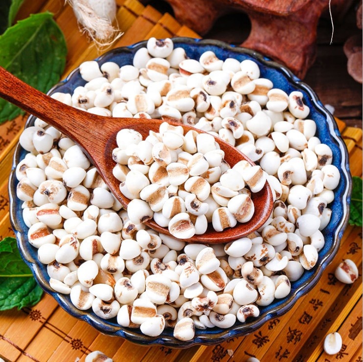China Supplier Pure Coix Seed Job's Tears Bulk Packed for Export with Natural Organic Grain