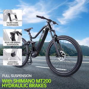 Bicicleta Eléctrica de Montaña de 48V 250W con Motor Central Bafang, Suspensión Completa, 29 Pulgadas, Sensor de Torque - Product Image 3