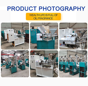 Machine d'extraction d'huile d'<span class=keywords><strong>olive</strong></span> à haut rendement, petite presse à huile froide, fabrication d'huile avec <span class=keywords><strong>prix</strong></span> d'usine - Product Image 4