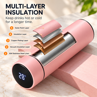 Bouteille isotherme en acier inoxydable avec affichage numérique de la température, tasse de mesure de température intelligente à LED, thermos sous vide